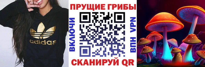 сайты даркнета наркотические препараты  Геленджик  Псилоцибиновые грибы GOLDEN TEACHER 