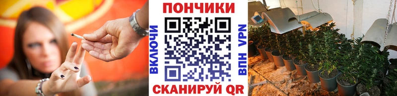 Бошки марихуана гибрид  даркнет сайт  дарк нет какой сайт  Геленджик 